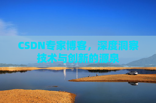 CSDN专家博客，深度洞察技术与创新的源泉